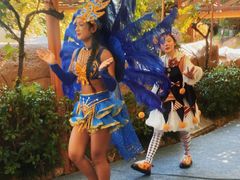 -杭州开元森泊度假乐园