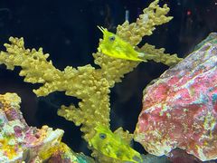 -上海海洋水族馆