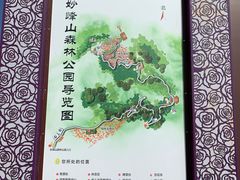 -阳台山自然风景区