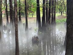 -东湖落雁景区