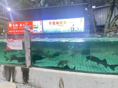 -天怡·鱼工厂(梅溪湖店)