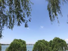 -丁香湖公园