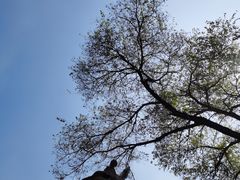 -沈阳森林动物园