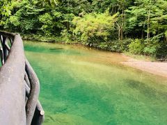 -龙湾潭国家森林公园