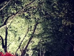 -西湖外事游船(湖滨二公园外事游船码头)