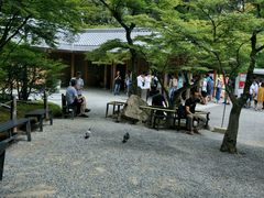 -豆政(金閣寺境内売店)