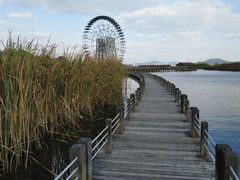 -太湖湖滨国家湿地公园-停车场