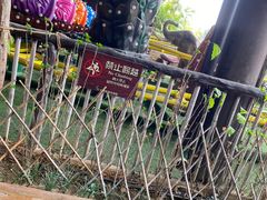 -长鹿旅游休博园