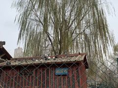 -水车博览园