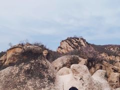 -大岭沟猕猴桃谷风景区