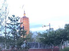 -西海子公园