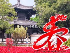 -荔湾湖公园