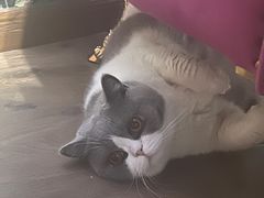 -暗楼·剧本杀·桌游