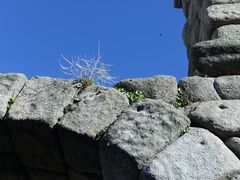 -塞哥维亚输水道