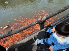 -南京金牛湖风景区