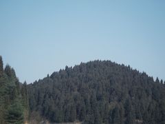 -武陵山森林公园