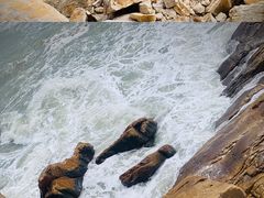 -湄洲岛