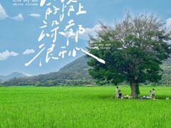 -艾米稻香小镇