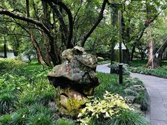 -杭州植物园