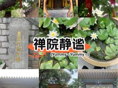 -云龙山