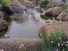 -罗红摄影艺术馆