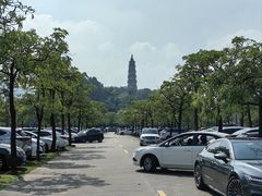 -顺峰山公园