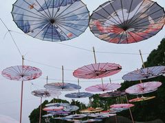 -荷塘月色湿地公园·向阳花洲