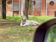 -秦皇岛野生动物园