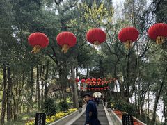 -子昂故里文化旅游区