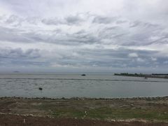 -合肥滨湖国家森林公园