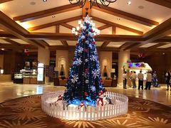 -长白山万达喜来登度假酒店