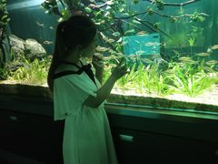 -南戴河国际娱乐中心