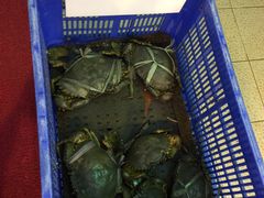 -旅南活海鲜-屏东(墾丁海鮮，海鮮餐廳，墾丁團體合菜，平價熱炒，墾丁熱炒店，活海鮮推薦，在地海鮮餐廳)