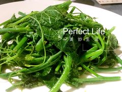 清炒龙须菜-天厨妙香素食餐厅(清华店)