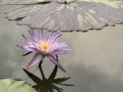 -云溪植物园