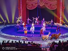 -珠海横琴长隆《卡卡虎奇遇记》