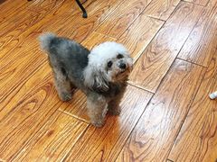 -志龙皇冠吃货椰子铺