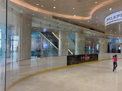 -陈露国际冰上中心(天津嘉里汇店)