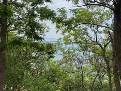 -星海湾跨海大桥