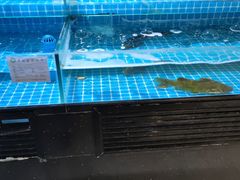 -翠微家园超市(甘家口店)