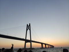 -港珠澳大桥(珠海段)