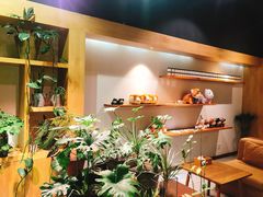 -柴务处·柴犬主题狗咖