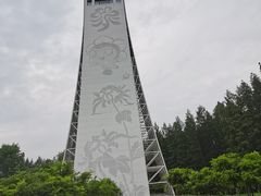 -东平国家森林公园