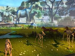 -安徽省地质博物馆