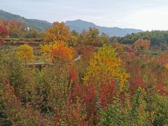 -塔川景区
