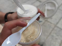 -洪馨椰子