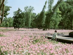 -长广溪湿地公园