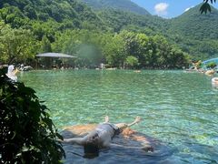 -荔湾湖公园
