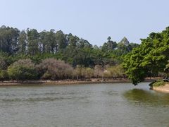 -南国桃园旅游度假区