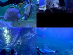 -左海海底世界
